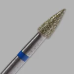 Broca Forms Cutícula Cone grano M