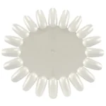 Mostruário Oval de Unhas